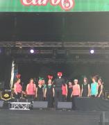 Civic Park Carols 13/12/15